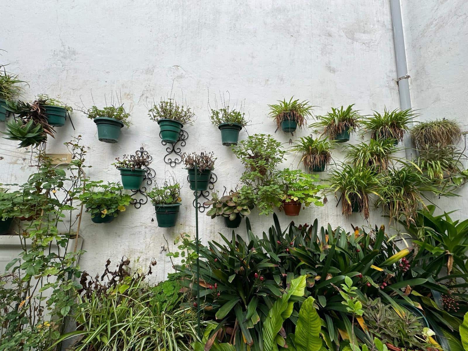 Casa de 9 habitaciones en Córdoba ciudad en venta - 320.000 € (Ref: 9359890)