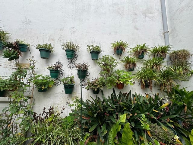 Casa de 9 habitaciones en Córdoba ciudad en venta - 320.000 € (Ref: 9359890)