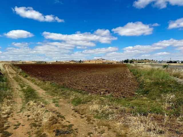 Undeveloped Land for sale in Fuente Obejuna - € 22,000 (Ref: 9359892)