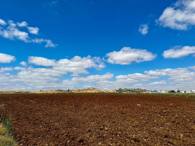 Undeveloped Land for sale in Fuente Obejuna - € 22,000 (Ref: 9359892)