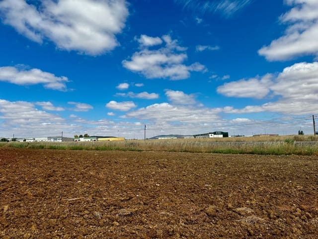 Undeveloped Land for sale in Fuente Obejuna - € 22,000 (Ref: 9359892)