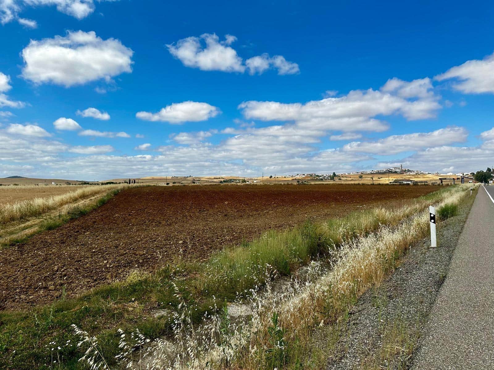 Undeveloped Land for sale in Fuente Obejuna - € 22,000 (Ref: 9359892)