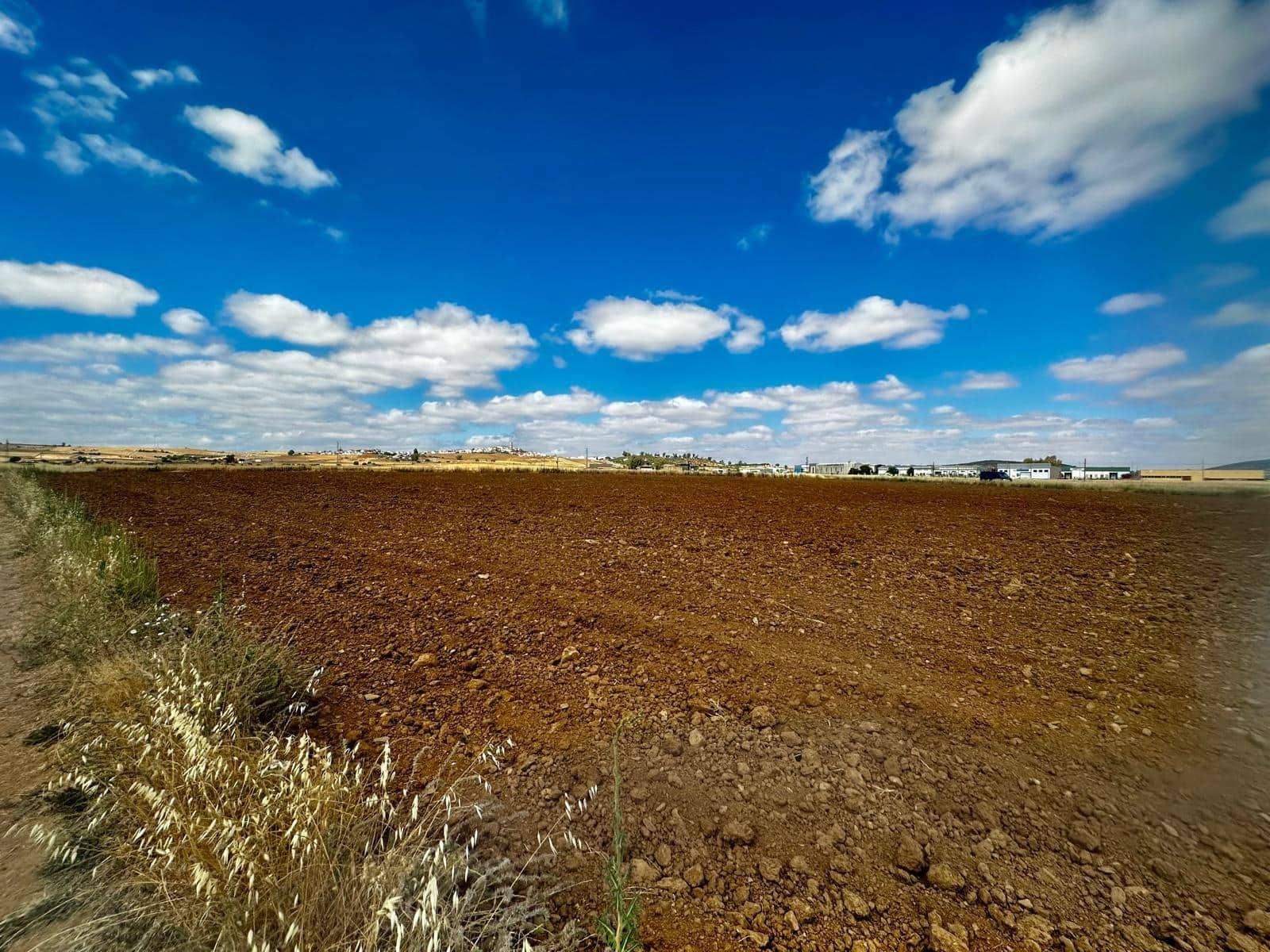 Undeveloped Land for sale in Fuente Obejuna - € 22,000 (Ref: 9359892)