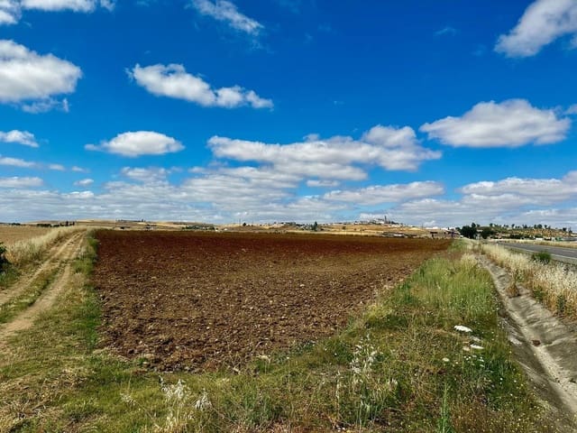 Undeveloped Land for sale in Fuente Obejuna - € 22,000 (Ref: 9359892)