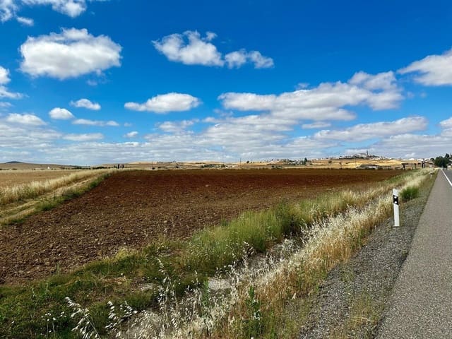 Undeveloped Land for sale in Fuente Obejuna - € 22,000 (Ref: 9359892)