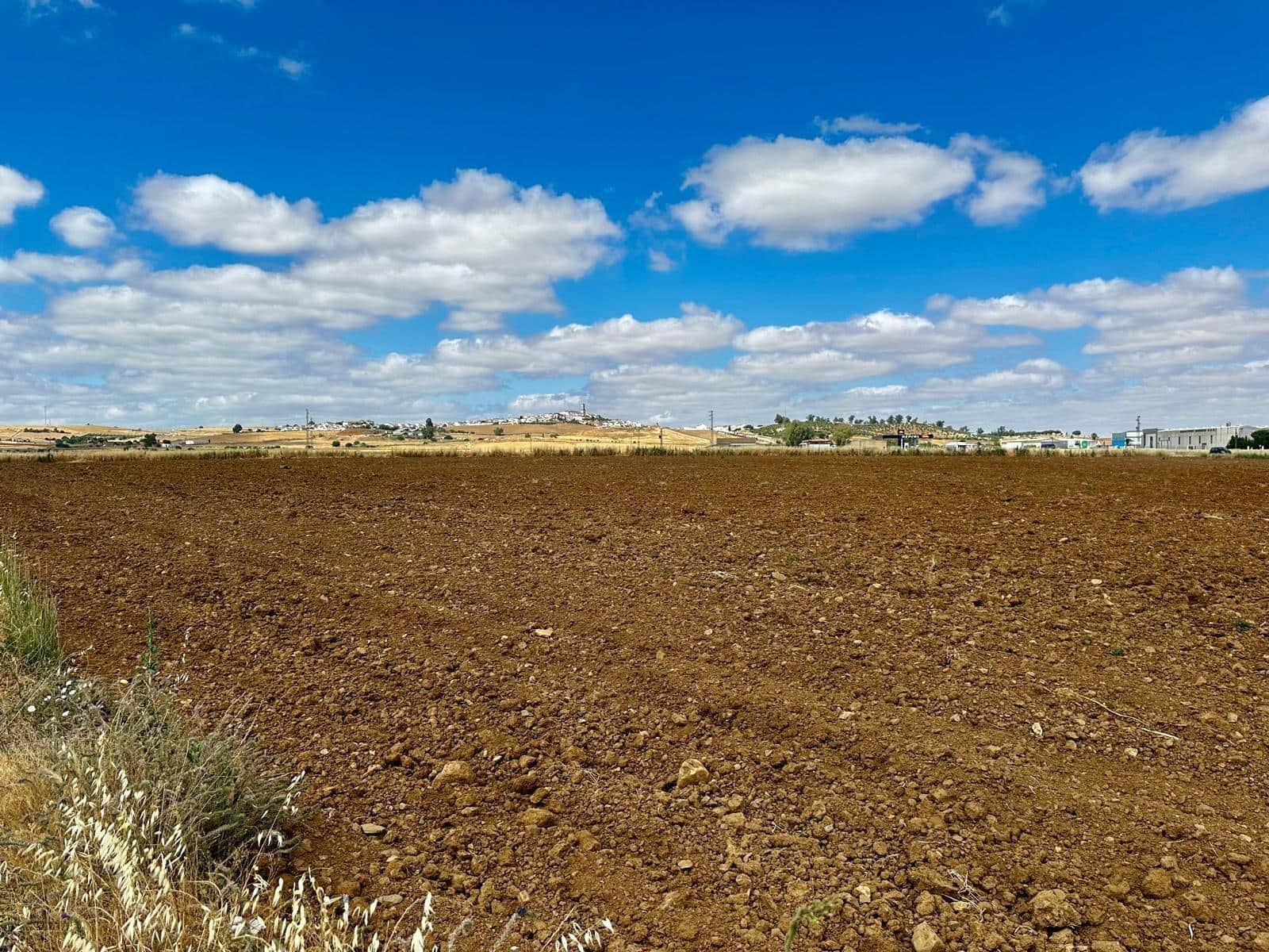 Undeveloped Land for sale in Fuente Obejuna - € 22,000 (Ref: 9359892)
