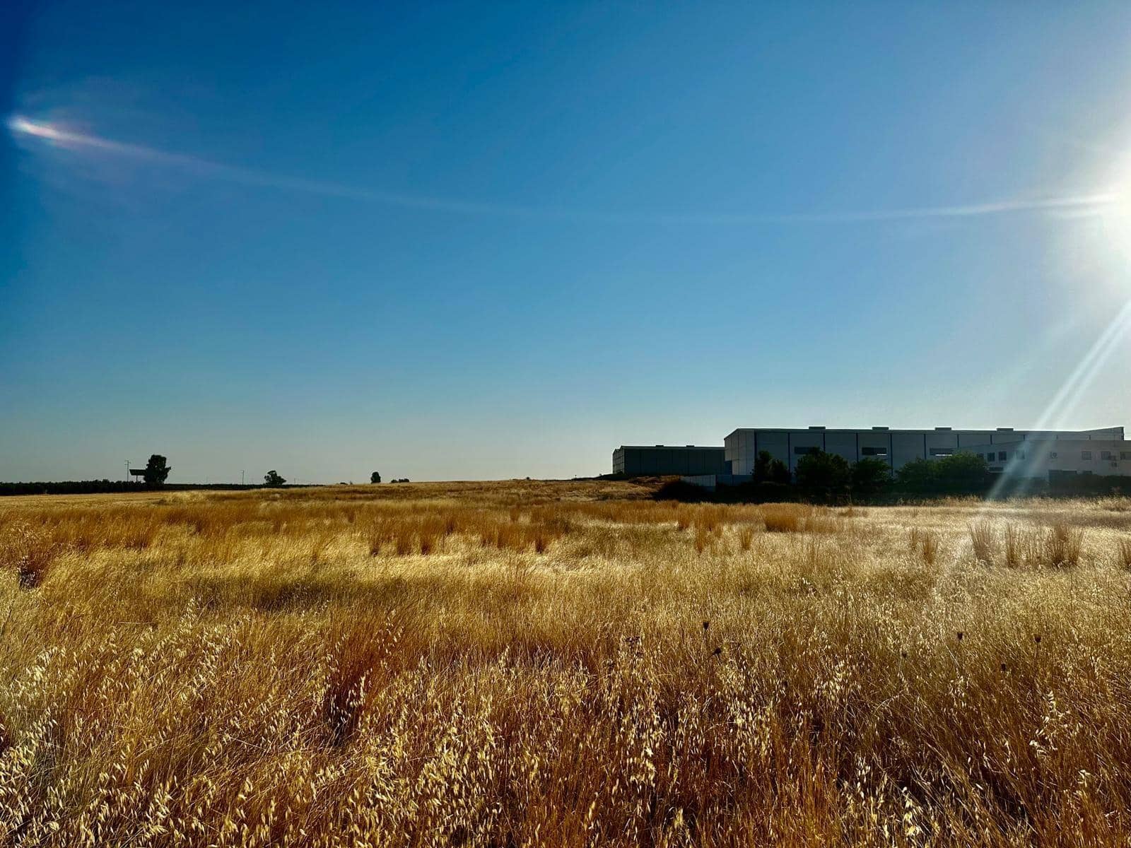 Grunde uden byggetilladelser til salg i La Carlota - € 300.000 (Ref: 9359895)