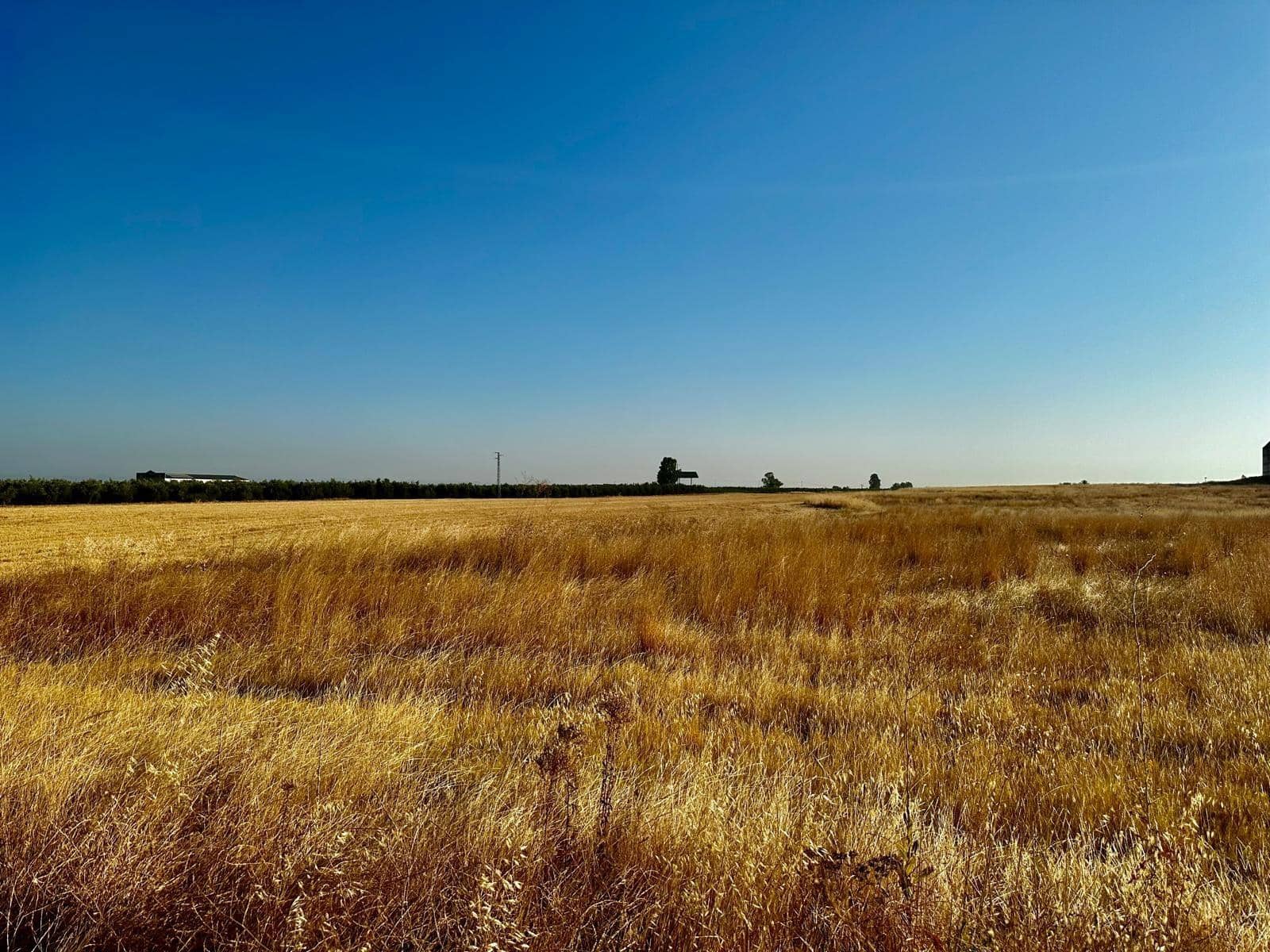 Grunde uden byggetilladelser til salg i La Carlota - € 300.000 (Ref: 9359895)