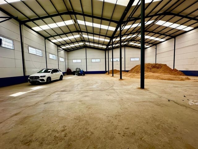 2 bedroom Business for sale in Fuente Obejuna - € 200,000 (Ref: 9359897)