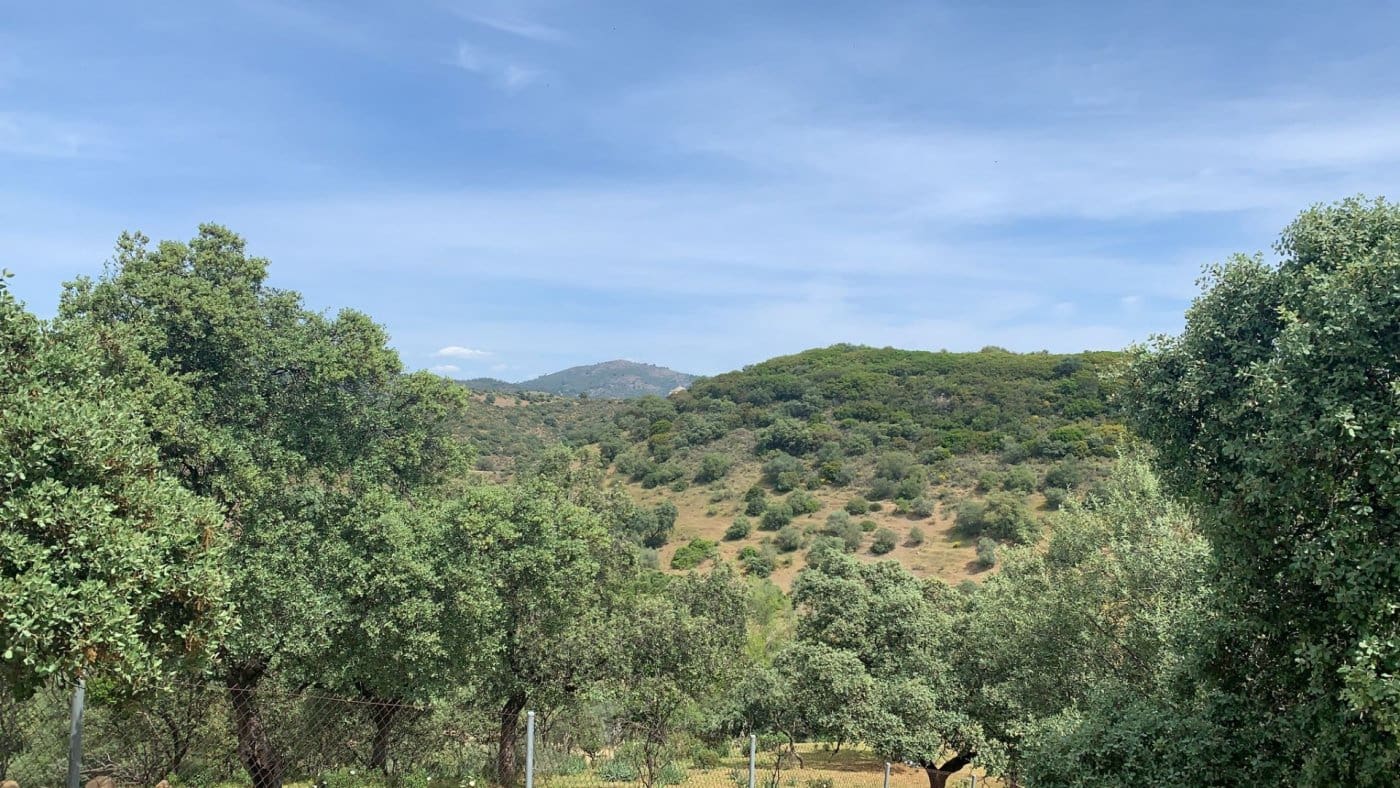 Building Plot for sale in Cordoba city - € 158,000 (Ref: 9359904)