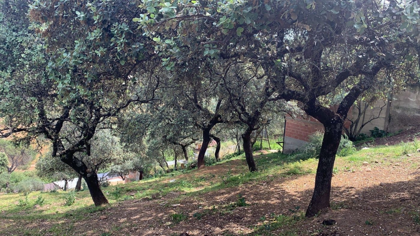 Building Plot for sale in Cordoba city - € 158,000 (Ref: 9359904)