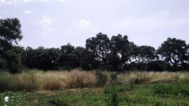 Działka budowlana na sprzedaż w Alcolea, Miasto Kordoba - 55 000 € (Ref: 9359914)