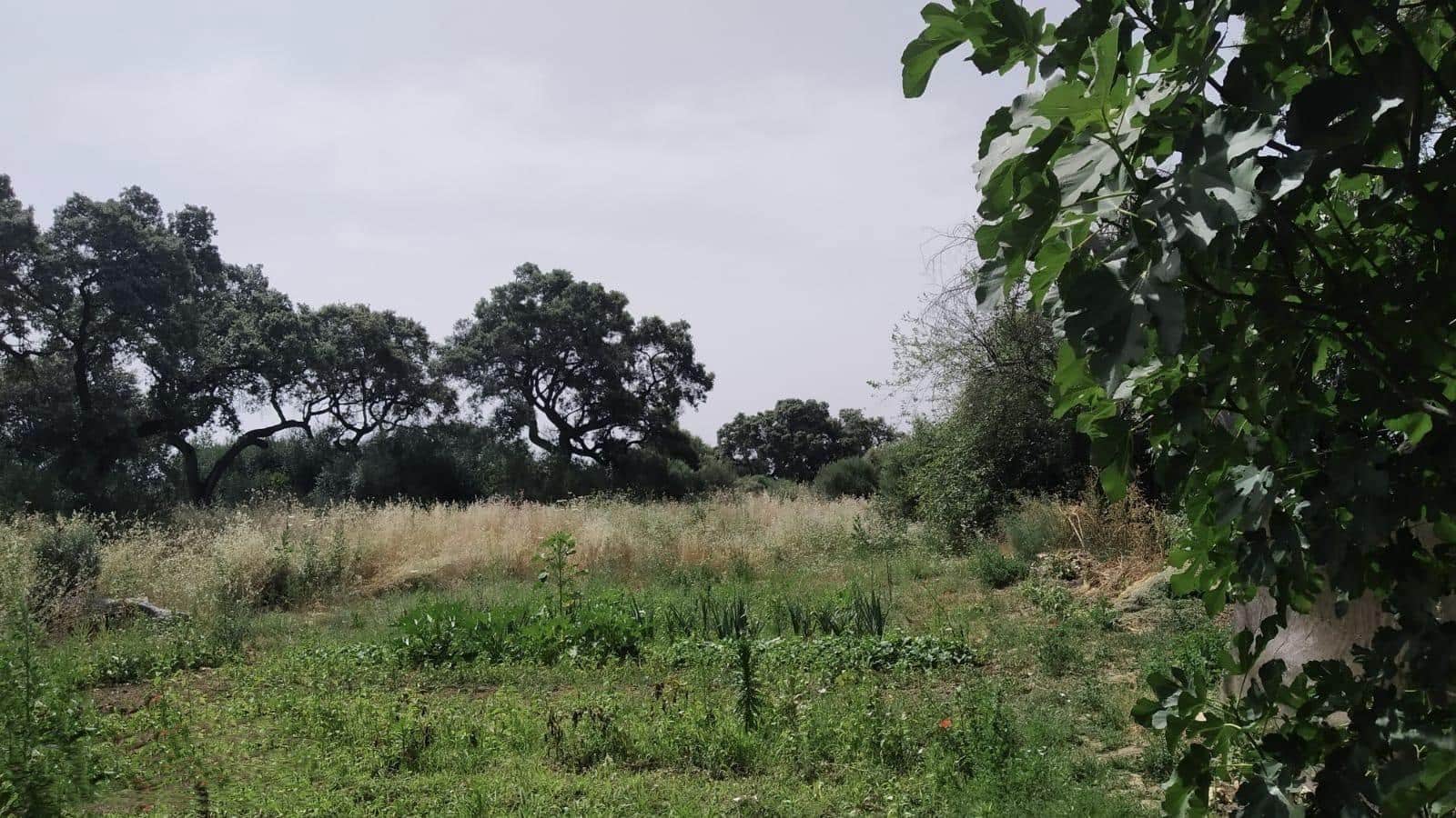 Działka budowlana na sprzedaż w Miasto Kordoba - 55 000 € (Ref: 9359914)