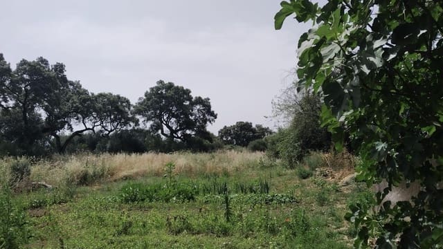 Działka budowlana na sprzedaż w Alcolea, Miasto Kordoba - 55 000 € (Ref: 9359914)