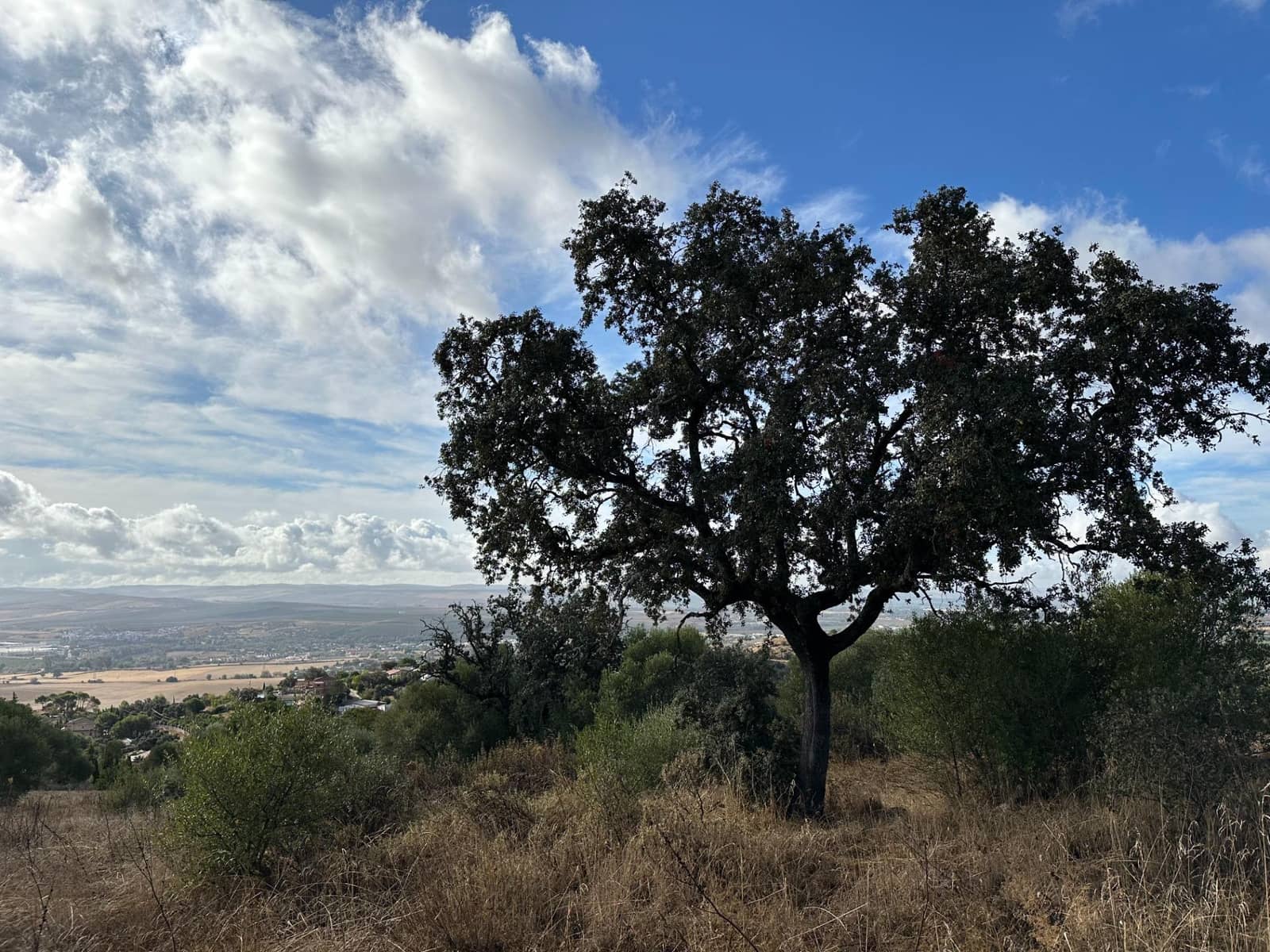 Area Edificabile in vendita in Cordova citta - 180.000 € (Rif: 9359915)