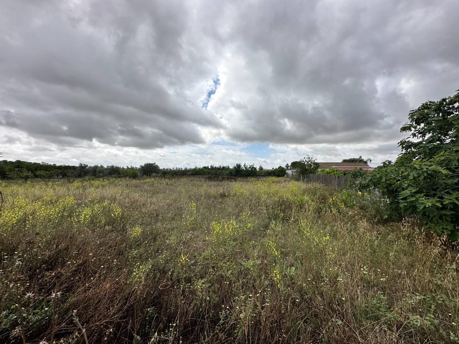 Area Edificabile in vendita in Cordova citta - 38.700 € (Rif: 9359936)