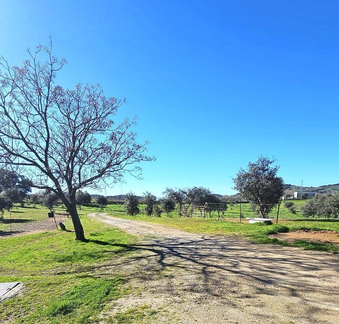 3 Zimmer Villa zu verkaufen in Villaviciosa de Cordoba mit Pool Garage - 195.000 € (Ref: 9359939)