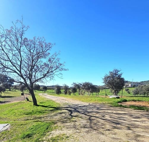 3 Zimmer Villa zu verkaufen in Villaviciosa de Córdoba mit Pool Garage - 195.000 € (Ref: 9359939)