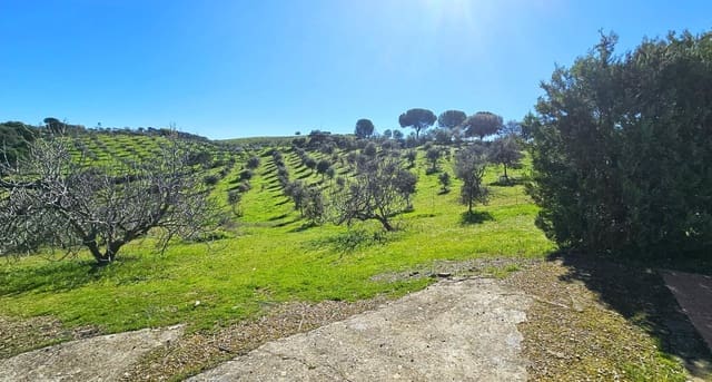 3 Zimmer Villa zu verkaufen in Villaviciosa de Córdoba mit Pool Garage - 195.000 € (Ref: 9359939)