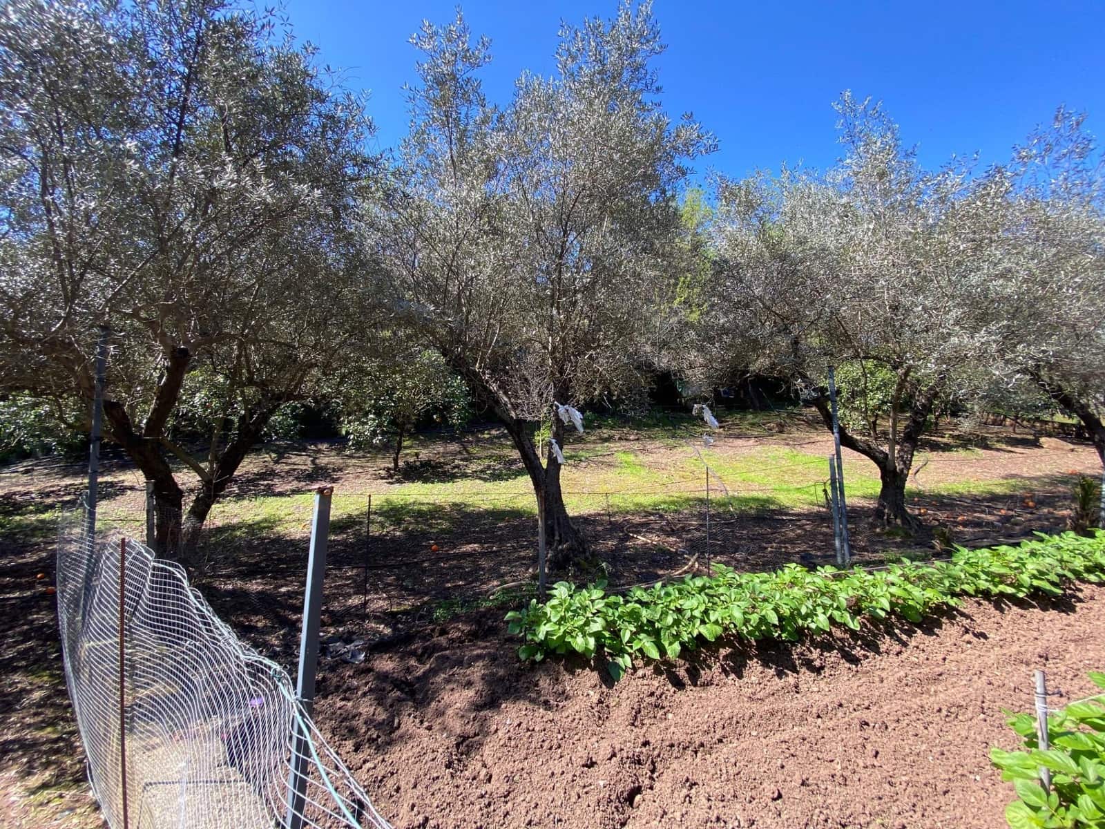 7 soverom Villa til salgs i Cordoba by med svømmebasseng garasje - € 430 000 (Ref: 9359943)