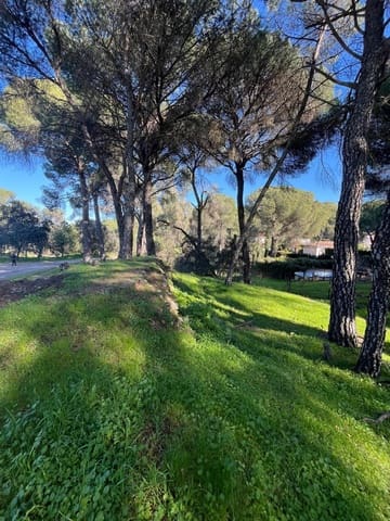 Area Edificabile in vendita in Cerro Muriano, Cordova città - 35.000 € (Rif: 9359955)