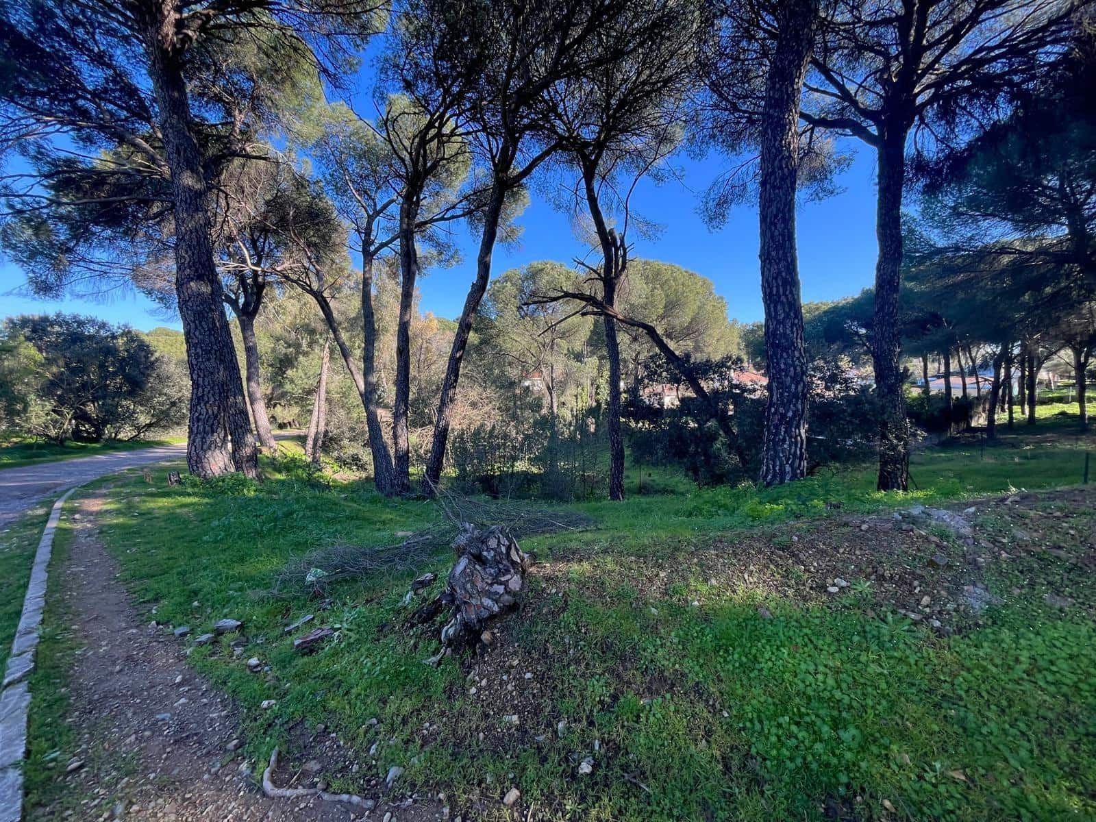 Building Plot for sale in Cordoba city - € 35,000 (Ref: 9359955)