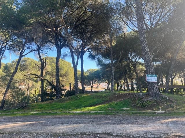 Area Edificabile in vendita in Cerro Muriano, Cordova città - 35.000 € (Rif: 9359955)