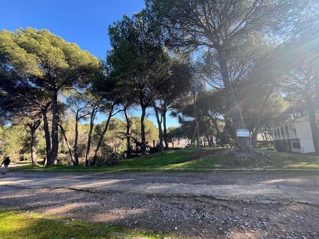 Area Edificabile in vendita in Cerro Muriano, Cordova città - 35.000 € (Rif: 9359955)