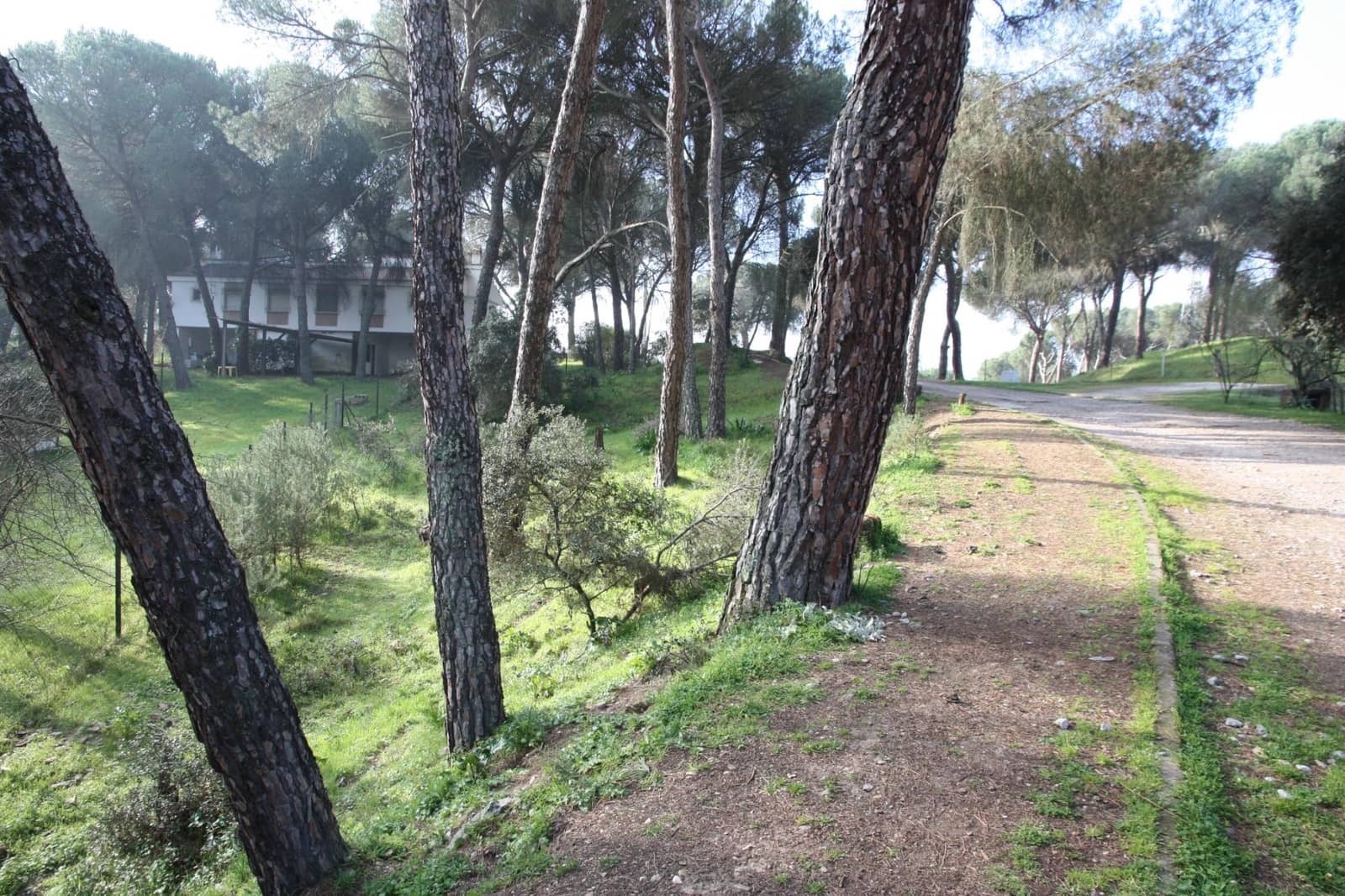 Building Plot for sale in Cordoba city - € 35,000 (Ref: 9359955)