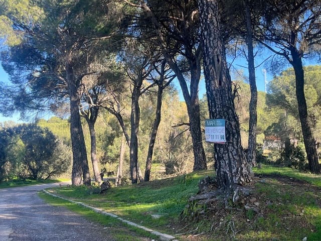 Area Edificabile in vendita in Cerro Muriano, Cordova città - 35.000 € (Rif: 9359955)