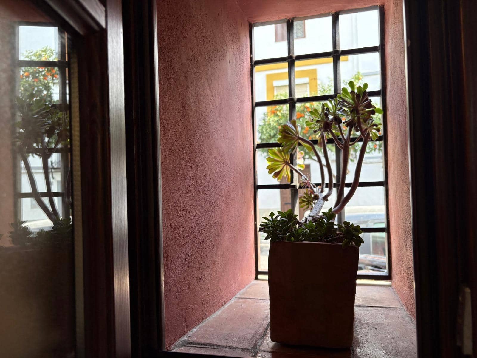 1 camera da letto Appartamento in vendita in Cordova citta - 290.000 € (Rif: 9359964)