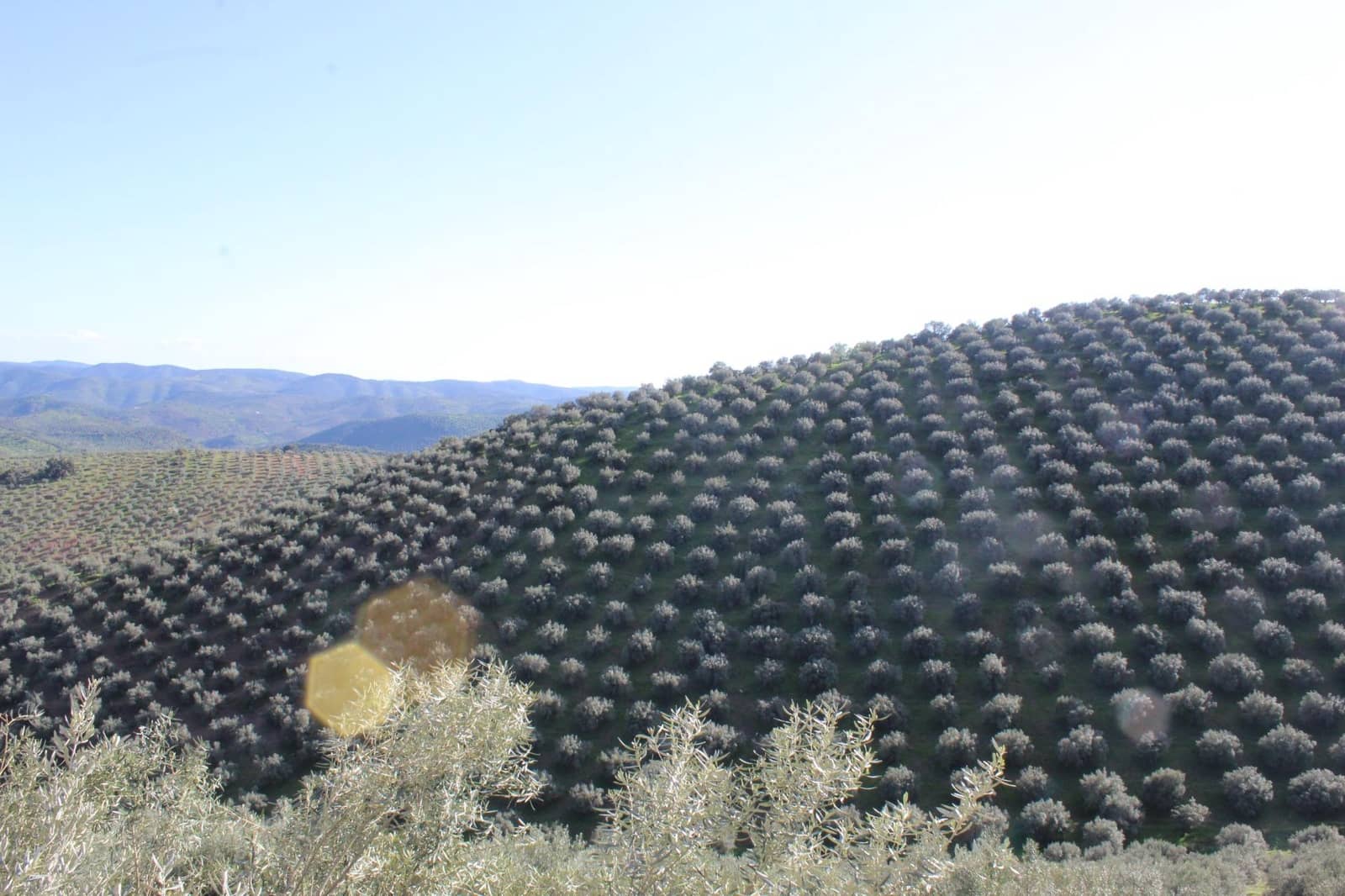 5 soveværelse Finca/Landehus til salg i Pozoblanco med swimmingpool garage - € 160.000 (Ref: 9359965)