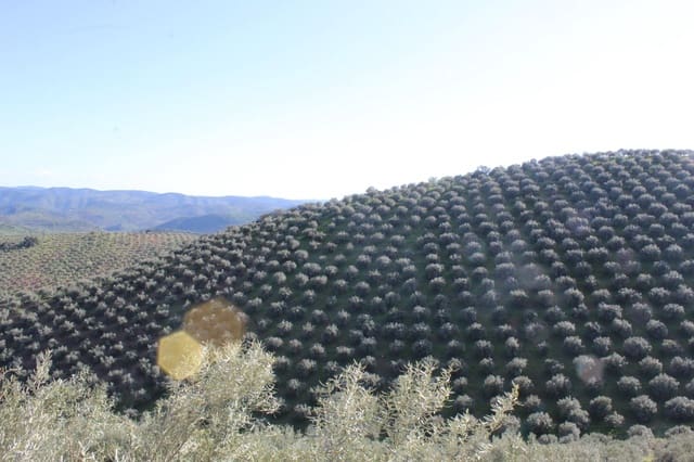 5 soveværelse Finca/Landehus til salg i Pozoblanco med swimmingpool garage - € 160.000 (Ref: 9359965)