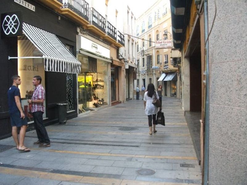 Kaupallinen vuokrattavana paikassa Cordoba kaupunki - 2 500 € (Ref: 9359975)