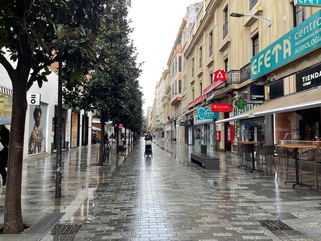 Kaupallinen vuokrattavana paikassa Centro, Córdoba kaupunki - 2 500 € (Ref: 9359975)