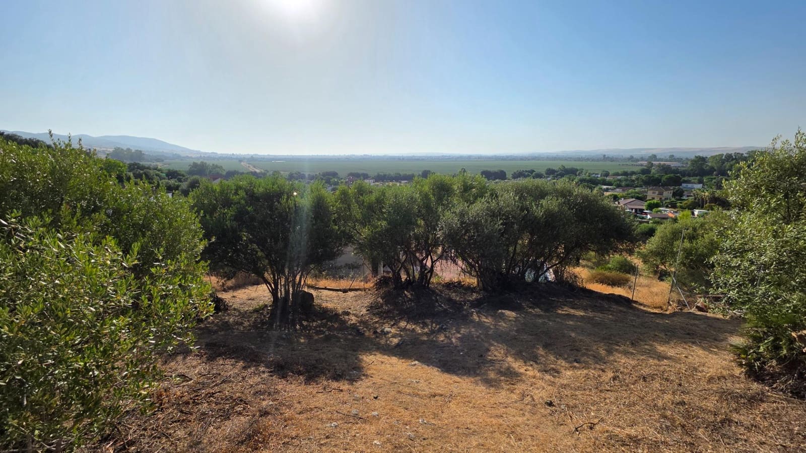 Byggegrund til salg i Almodovar del Rio - € 26.000 (Ref: 9359999)