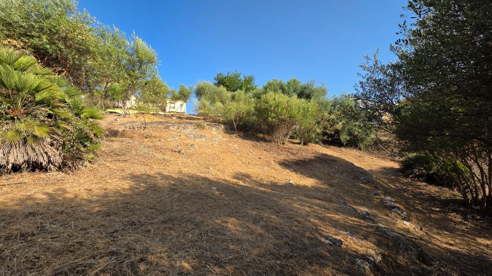 Byggegrund til salg i Almodovar del Rio - € 26.000 (Ref: 9359999)