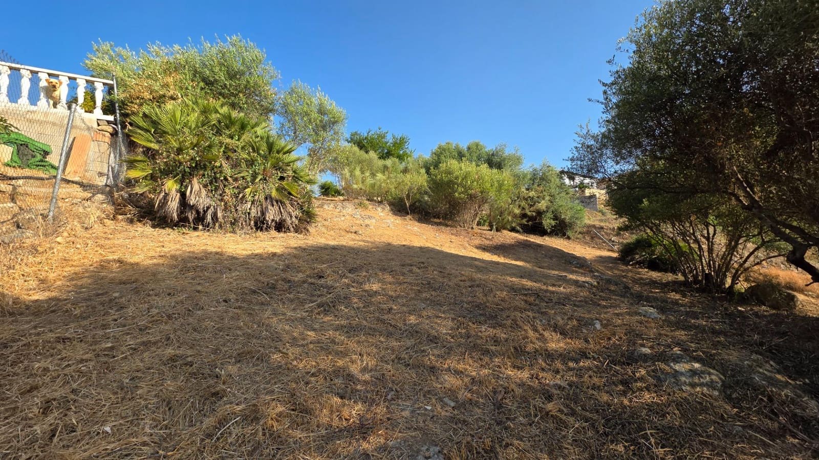 Byggegrund til salg i Almodovar del Rio - € 26.000 (Ref: 9359999)