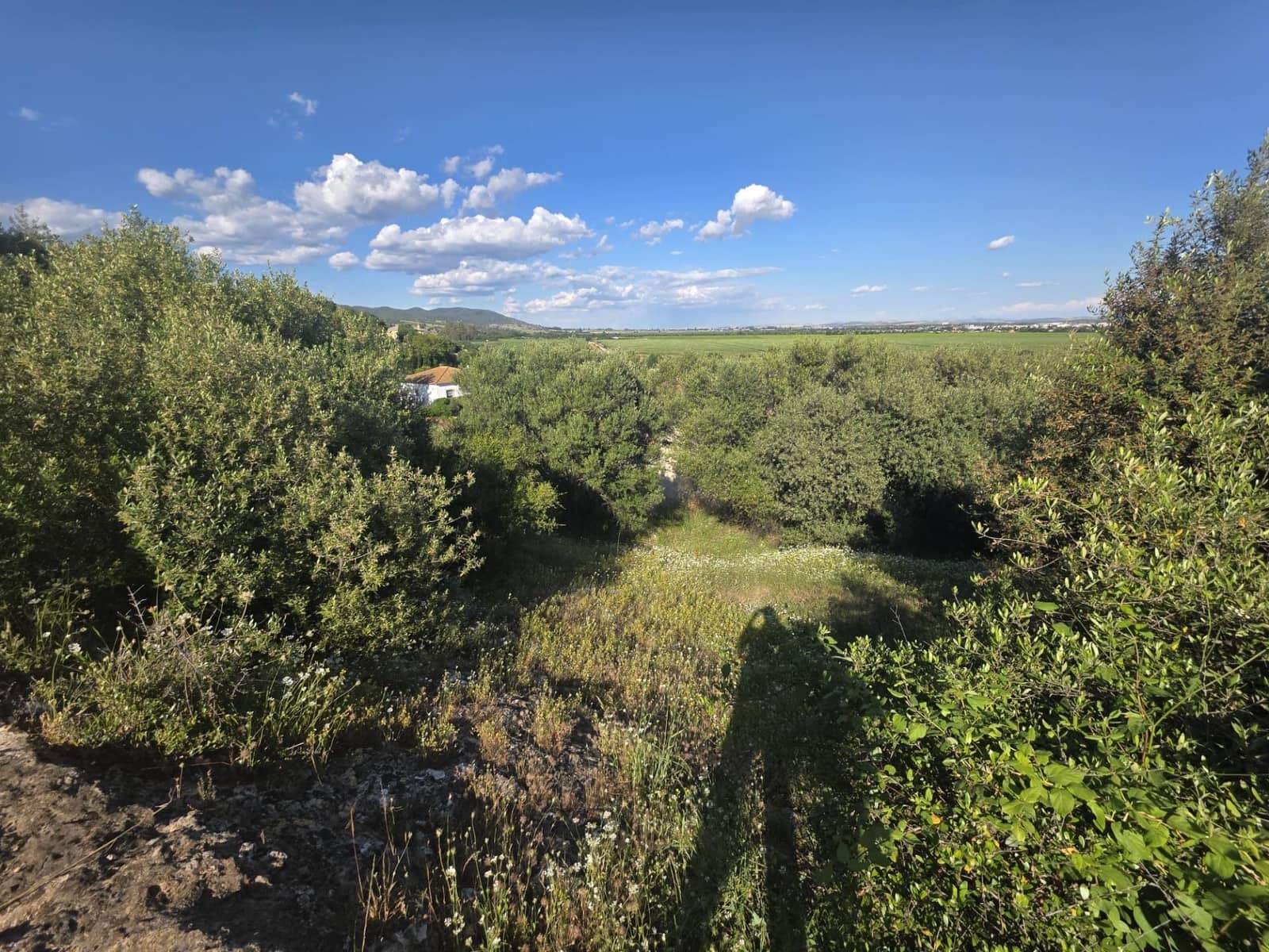 Byggegrund til salg i Almodovar del Rio - € 26.000 (Ref: 9359999)