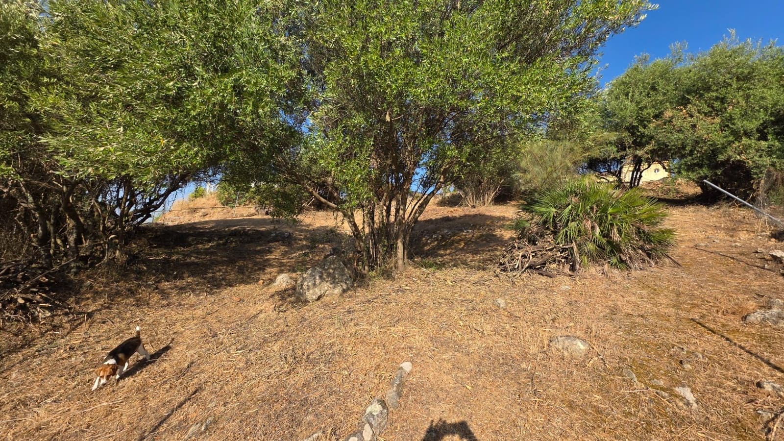 Byggegrund til salg i Almodovar del Rio - € 26.000 (Ref: 9359999)