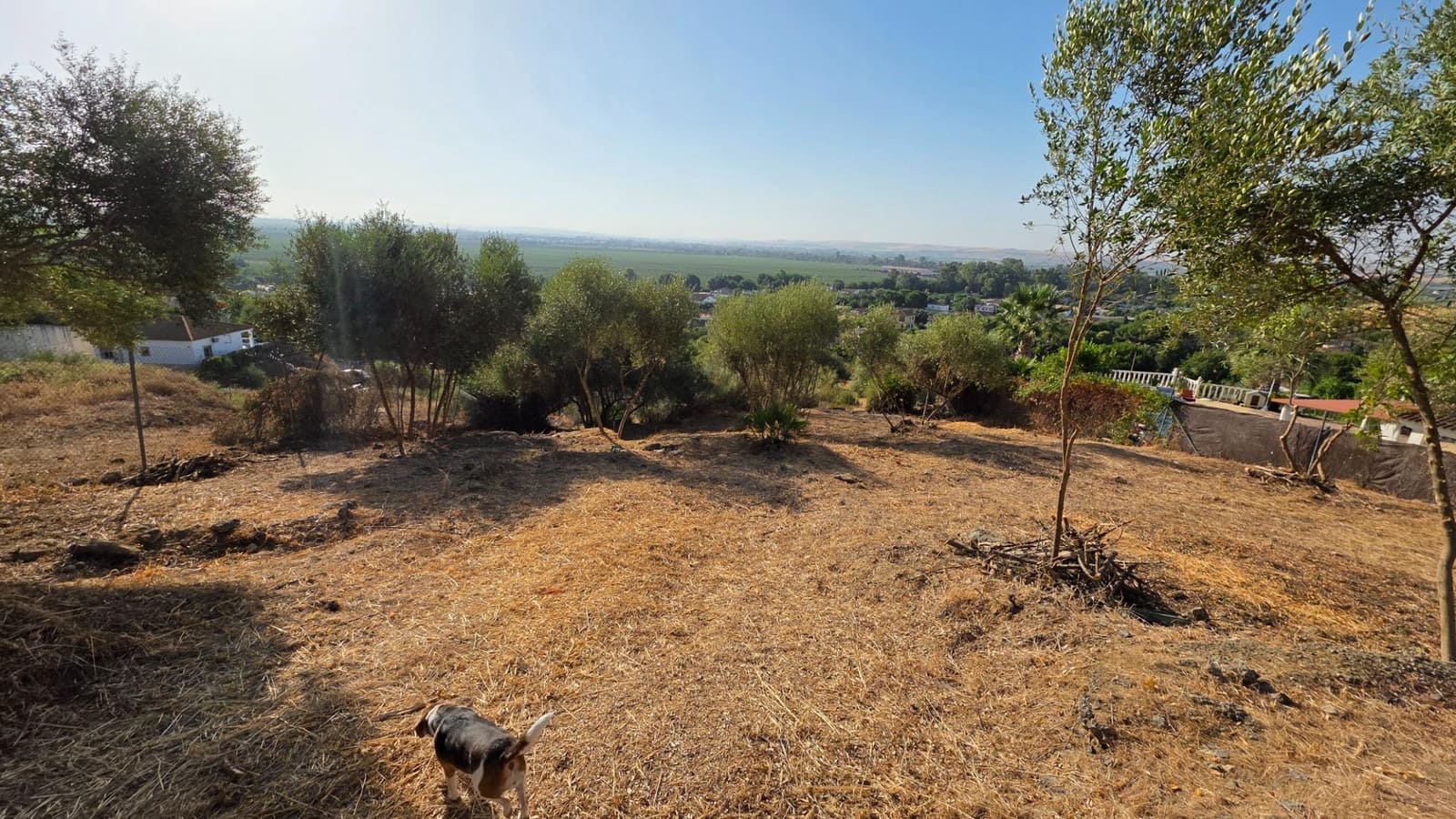 Byggegrund til salg i Almodovar del Rio - € 26.000 (Ref: 9359999)