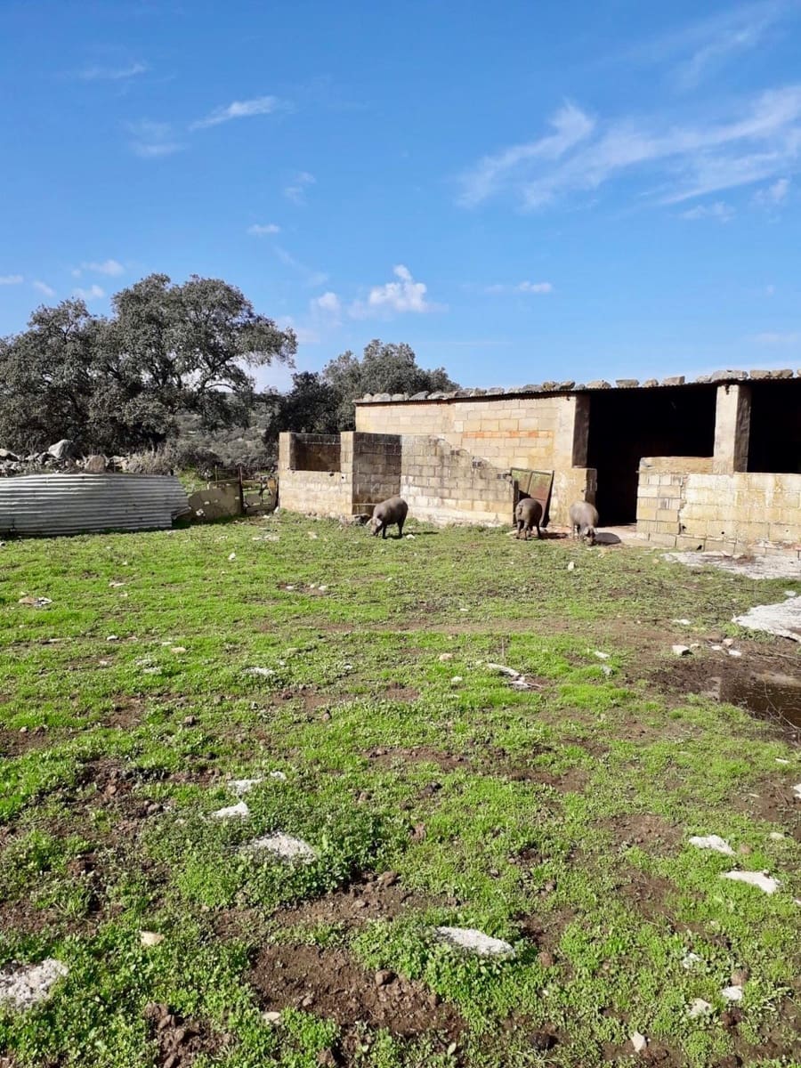 Grunde uden byggetilladelser til salg i Fuente Obejuna - € 190.000 (Ref: 9360011)