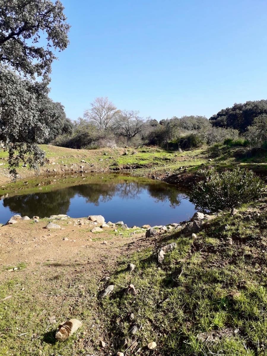 Grunde uden byggetilladelser til salg i Fuente Obejuna - € 190.000 (Ref: 9360011)