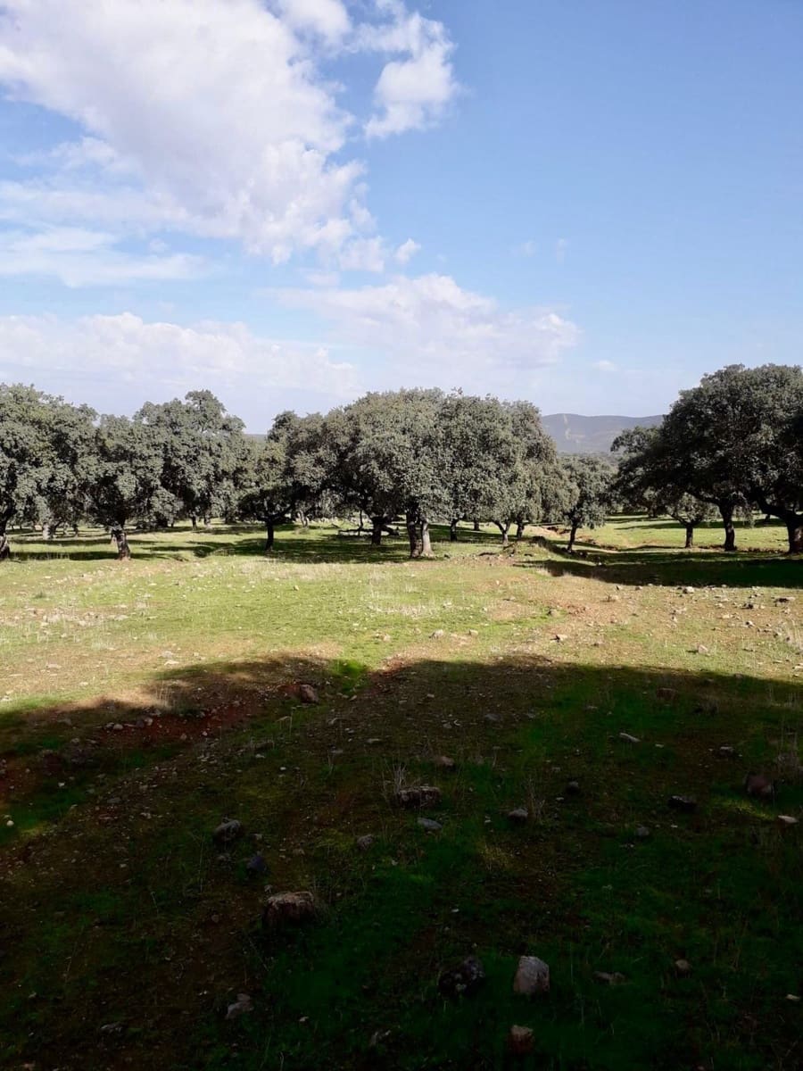 Grunde uden byggetilladelser til salg i Fuente Obejuna - € 190.000 (Ref: 9360011)