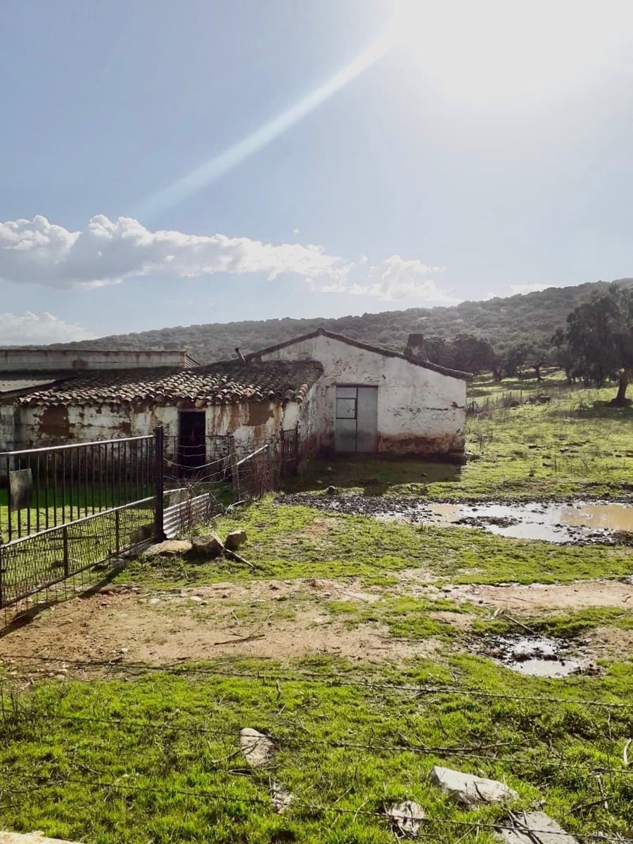 Grunde uden byggetilladelser til salg i Fuente Obejuna - € 190.000 (Ref: 9360011)