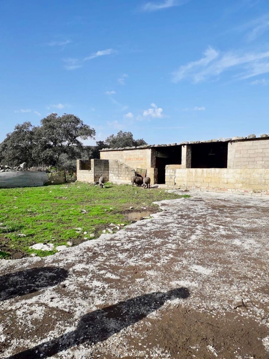 Grunde uden byggetilladelser til salg i Fuente Obejuna - € 190.000 (Ref: 9360011)