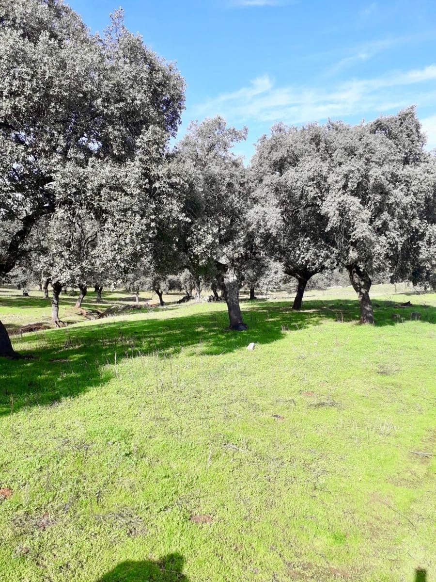 Grunde uden byggetilladelser til salg i Fuente Obejuna - € 190.000 (Ref: 9360011)