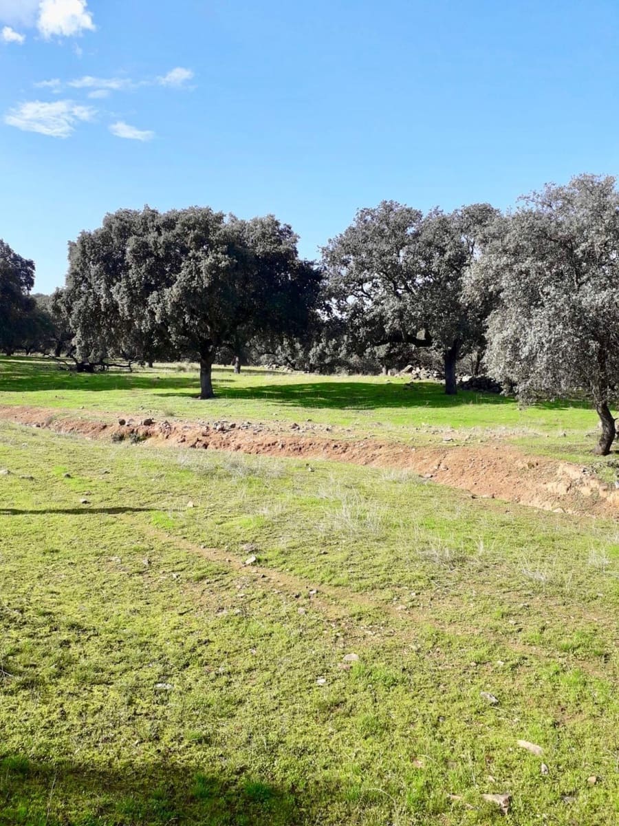 Grunde uden byggetilladelser til salg i Fuente Obejuna - € 190.000 (Ref: 9360011)