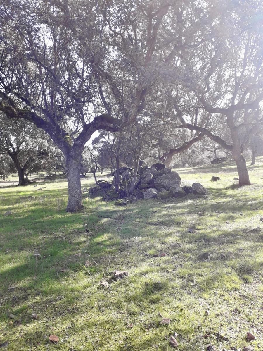 Grunde uden byggetilladelser til salg i Fuente Obejuna - € 190.000 (Ref: 9360011)