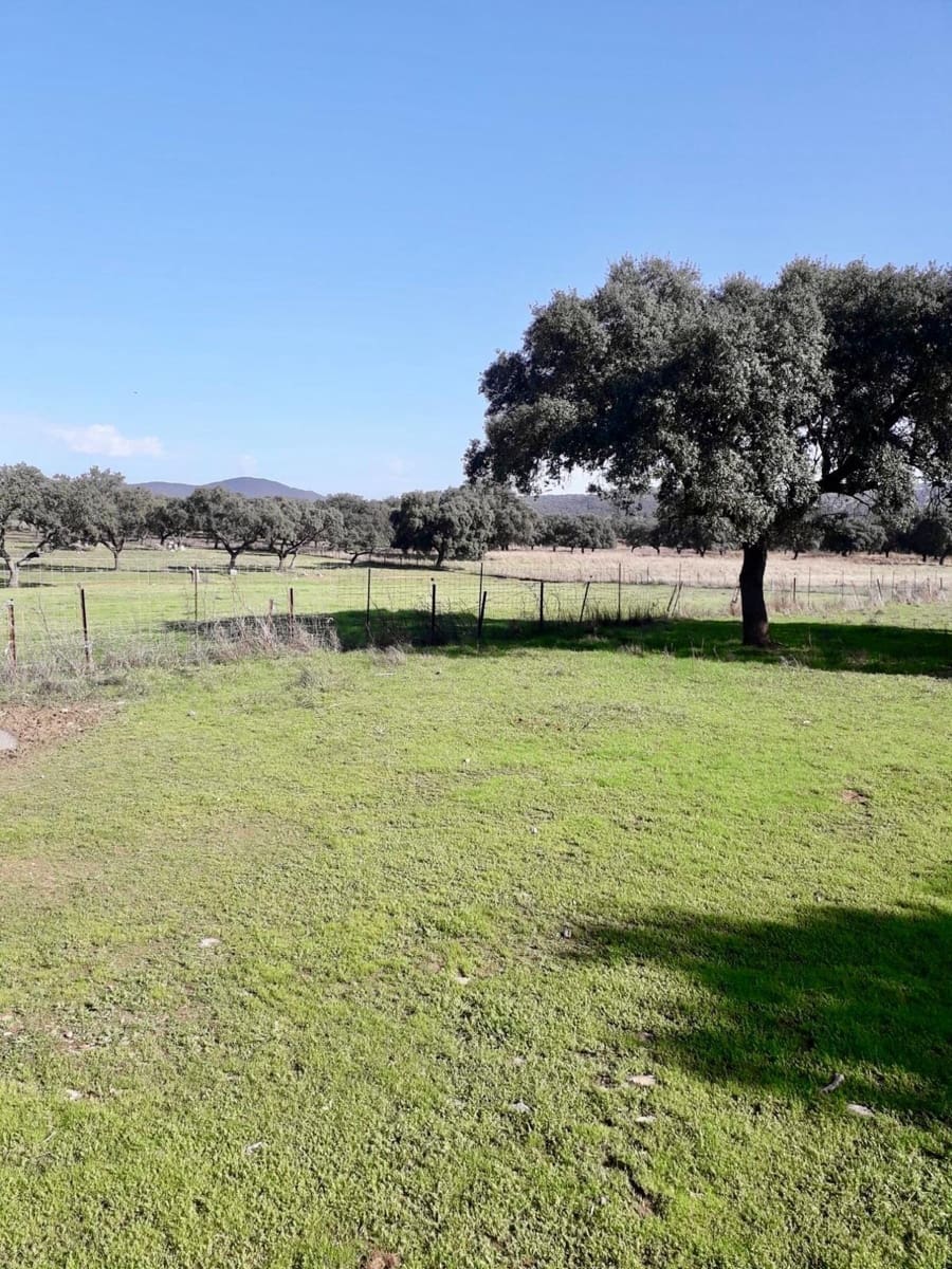 Grunde uden byggetilladelser til salg i Fuente Obejuna - € 190.000 (Ref: 9360011)